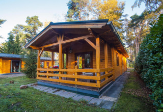 Wellness lodge bij Buitencentrum Hessenheem in Nederland, omgeven door bos, met houten veranda.