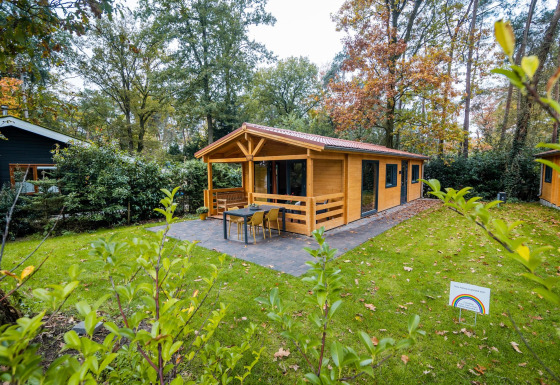 Lodge bien-être à Buitencentrum Hessenheem aux Pays-Bas, cabane en bois entourée de verdure relaxante.