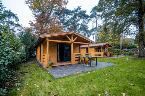 Cabaña wellness de madera en Buitencentrum Hessenheem, Holanda, rodeada de césped y árboles altos.
