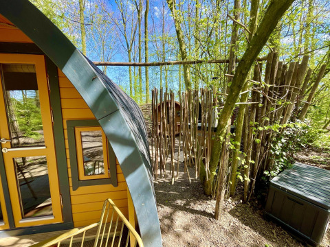 Sunny view of Boshuys Ultra Wellness tiny house at Buitengoed Ruysbos in the Netherlands, surrounded by woods.