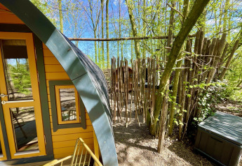 Sonnendurchflutetes Bild des Boshuys Ultra Wellness Tiny House bei Buitengoed Ruysbos, Niederlande, im Wald.