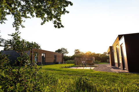 Moderne vakantievilla’s bij zonsondergang in groene omgeving op Hofparken De Bergvennen, Nederland.