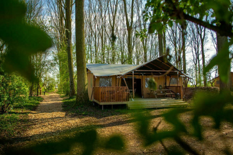 Safari-teltet Glamphuys på Buitengoed Ruysbos i Holland, omgivet af skov med sti og træer i baggrunden.