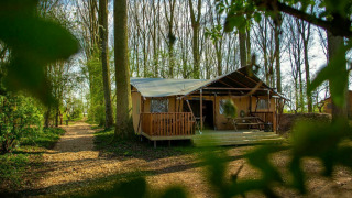 Safari-teltet Glamphuys på Buitengoed Ruysbos i Holland, omgivet af skov med sti og træer i baggrunden.