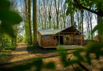 Safari-teltet Glamphuys på Buitengoed Ruysbos i Holland, omgivet af skov med sti og træer i baggrunden.
