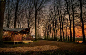 Glamphuys safari tent at Buitengoed Ruysbos, Netherlands, surrounded by trees at sunset in the woods.
