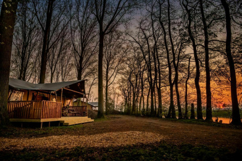 Glamphuys safaritent bij Buitengoed Ruysbos in Nederland, omgeven door bomen bij zonsondergang.
