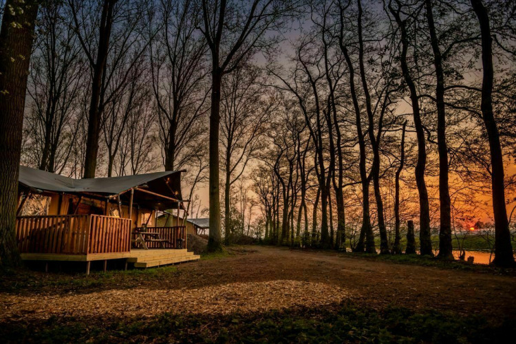 Glamphuys safari tent at Buitengoed Ruysbos, Netherlands, surrounded by trees at sunset in the woods.