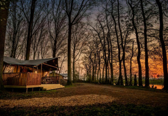 Glamphuys safaritent bij Buitengoed Ruysbos in Nederland, omgeven door bomen bij zonsondergang.