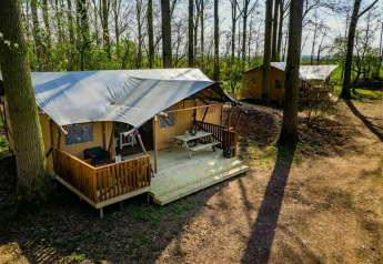 Tenda safari al Glamphuys, Buitengoed Ruysbos nei Paesi Bassi, immersa tra gli alberi e sentieri boscosi.