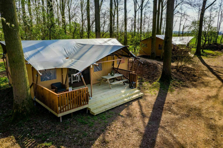 Safari tent at Glamphuys, Buitengoed Ruysbos in the Netherlands, nestled among trees and rustic woodland paths.