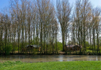 Udsigt over floden til safari-telte i skoven ved Glamphuys, Buitengoed Ruysbos, Holland, på en solrig dag.