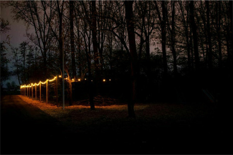 Un sendero iluminado con luces en Glamphuys, una tienda safari en Buitengoed Ruysbos, Países Bajos, de noche.