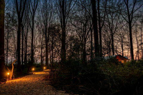 Mit Fackeln beleuchteter Weg führt durch einen nächtlichen Wald zu einem Safari-Zelt in den Niederlanden.