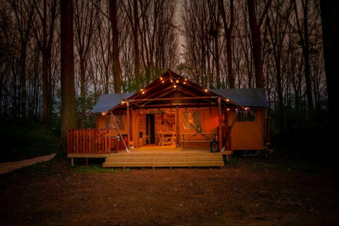 Oplyst safaritelt om aftenen ved Glamphuys, Buitengoed Ruysbos, omgivet af skov i Holland.
