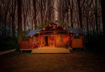 Illuminated safari tent at Glamphuys, Buitengoed Ruysbos, Netherlands, surrounded by forest in evening.