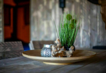 Plateau décoratif avec plante en herbe, bougie et ornement sur une table au Glamphuys, Buitengoed Ruysbos.