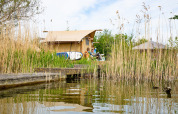 Tienda safari en Marina Parcs Almere, Países Bajos, rodeada de juncos y agua, personas relajándose afuera.