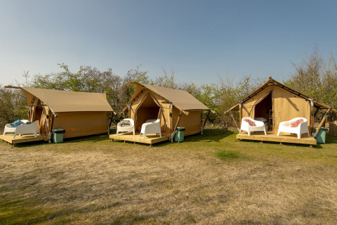 Tre safari telte med stole udenfor ved Marina Parcs Almere, Holland, på en solrig dag med blå himmel.