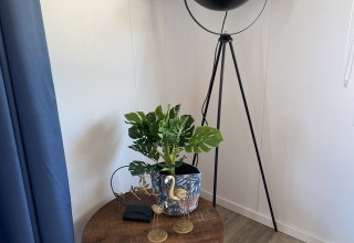 Indretning på Chalets at Marina Parcs Almere med gulvlampe, planter, bord og blå gardiner i hjørnet.