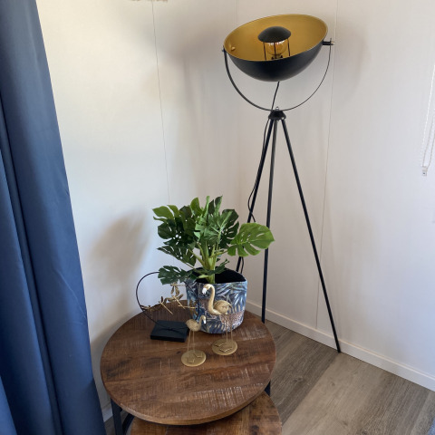 Indretning på Chalets at Marina Parcs Almere med gulvlampe, planter, bord og blå gardiner i hjørnet.