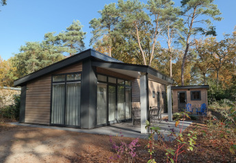 Modern houten Forest park chalet 8p bij Vakantiepark De Kleine Belties in Nederland, omgeven door bos.
