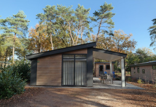 Moderno chalet Forest park 8p al Holiday park De Kleine Belties nei Paesi Bassi, circondato da pini.