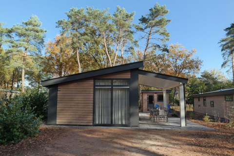Moderne træhytte Forest park chalet 8p på Holiday park De Kleine Belties, omgivet af høje træer.