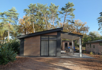Moderne træhytte Forest park chalet 8p på Holiday park De Kleine Belties, omgivet af høje træer.