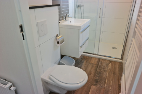 Baño moderno con inodoro, lavabo y ducha en Forest park chalet 8p, Holiday park De Kleine Belties, Países Bajos.