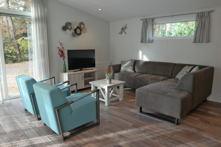 Luminoso salón en Forest park chalet 8p, Holiday park De Kleine Belties, Países Bajos con grandes ventanales.