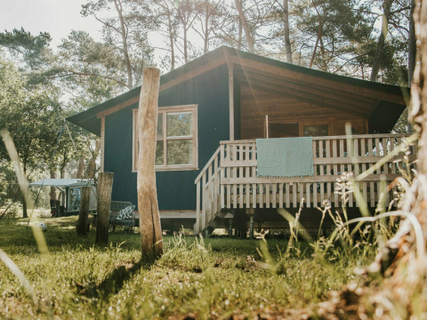 Et solrigt billede af Youpi! Lodge safari-telt ved Beerze Bulten, omgivet af grønne træer og sommerstemning.