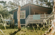 Vista soleada del safari tent Youpi! Lodge en Beerze Bulten, Países Bajos, rodeado de vegetación y bosques.