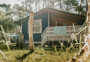Immagine soleggiata della tenda safari Youpi! Lodge al Beerze Bulten nei Paesi Bassi, circondata dal verde.