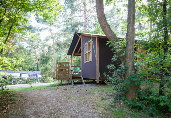 Tenda safari Youpi! Lodge presso Beerze Bulten nei Paesi Bassi, immersa nel verde di un campeggio.