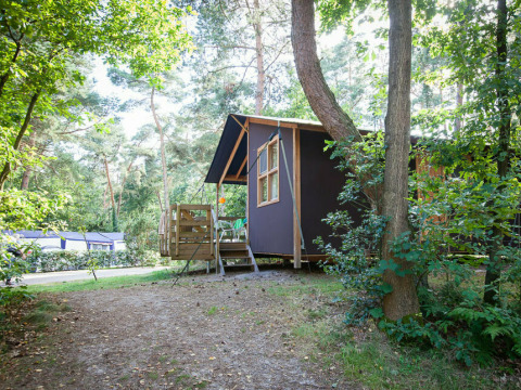 Safaritent Youpi! Lodge bij Beerze Bulten in Nederland, middenin een groene omgeving op de camping.