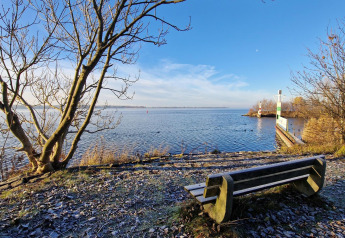 Panchina vista lago a Tiny Wagon, Marina Parcs Almere, Paesi Bassi, con alberi invernali e pontile.