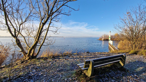 Panchina vista lago a Tiny Wagon, Marina Parcs Almere, Paesi Bassi, con alberi invernali e pontile.