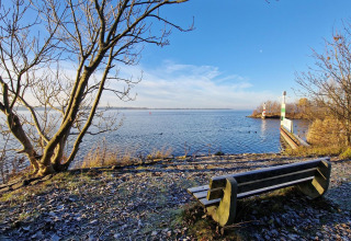 Banc avec vue sur le lac au Tiny Wagon, Marina Parcs Almere, Pays-Bas, arbres d’hiver et quai en bois.