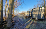 Små hytter kaldet Tiny Wagon ved Marina Parcs Almere i Holland, omgivet af træer og frost på jorden.