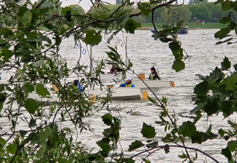 Vista attraverso i rami di piccole barche a vela sul lago presso Marina Parcs Almere dal Tiny Wagon.