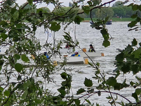 Vista attraverso i rami di piccole barche a vela sul lago presso Marina Parcs Almere dal Tiny Wagon.