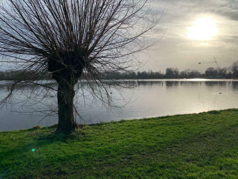 Sole su Houseboat 'Earrebarre', Welcome In - Friesland, Paesi Bassi, con lago e albero in primo piano.