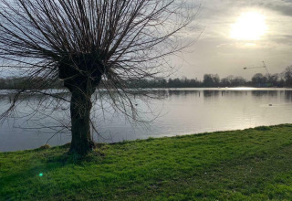 Paisaje soleado en Houseboat 'Earrebarre', Welcome In - Friesland, Países Bajos, junto a un lago y árbol.