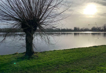 Sonnenaufgang über dem Wasser bei Hausboot 'Earrebarre', Welcome In - Friesland, Niederlande, mit Baum.
