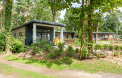 Moderne Waldchalets im Ferienpark De Kleine Belties in den Niederlanden, umgeben von Bäumen und Natur.