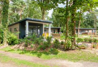 Chalets modernes au parc de vacances De Kleine Belties aux Pays-Bas, entourés de verdure et d’arbres.