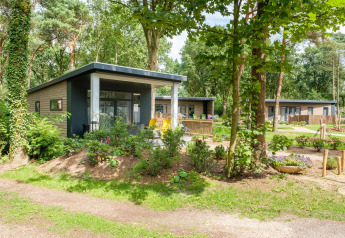 Moderne skovhytter på De Kleine Belties feriepark i Holland, omgivet af frodige træer og grønne planter.