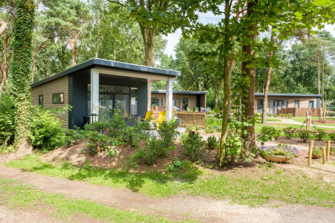 Moderne boschalets in vakantiepark De Kleine Belties in Nederland, omgeven door bomen en groen.