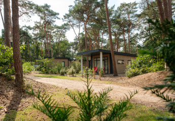 Modernes Chalet im Waldpark bei De Kleine Belties in den Niederlanden, umgeben von hohen Bäumen.